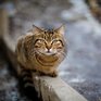 Начало недели в Приморье будет прохладным