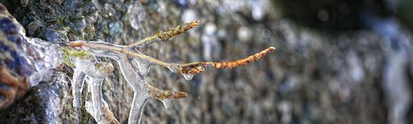 Неустойчивая погода будет в Приморье на выходных