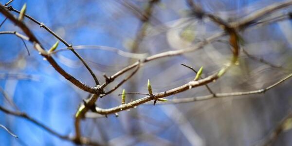 От тепла к холоду: всё о погоде в Приморье на следующей неделе