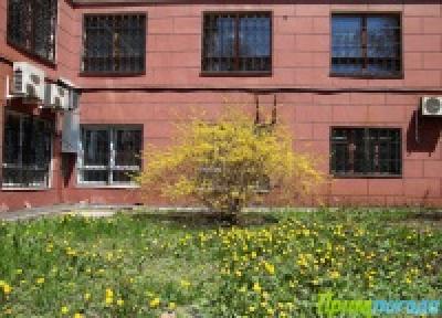 В Приморье пришло лето? В Приморье пришло лето?