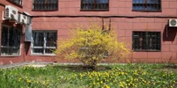В Приморье пришло лето?