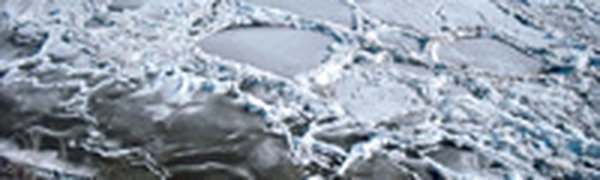 На Амуре у Хабаровска раньше обычного начался ледоход
