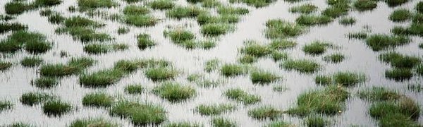 Водность рек Приморья остается повышенной и превышает норму в 1,2 – 2 раза