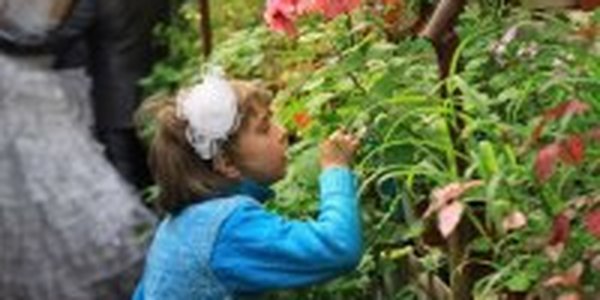 Ботанический сад: ничего в мире не происходит случайно