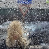 Как провести дождь: добрые рецепты от Примпогоды 