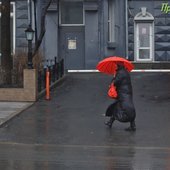 Как провести дождь: добрые рецепты от Примпогоды 