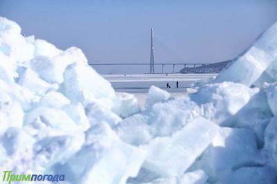Гидрометцентр России обещает более холодную зиму по сравнению с 2019 годом