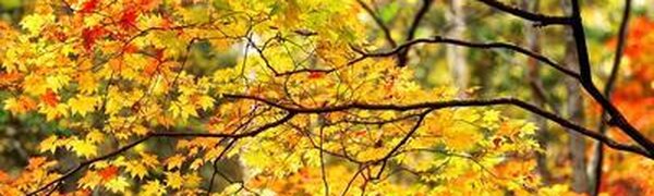 Стало известно, когда на этой неделе в Приморье станет теплее