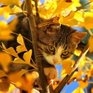 Пятничное настроение