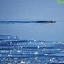 Погода порадует жителей Приморья плюсовыми температурами во вторник