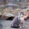 Морозы покидают Приморье до следующей зимы