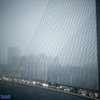 Южный циклон принёс во Владивосток 1,5 месячной нормы осадков