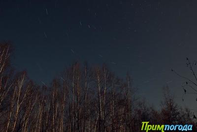 Ночные температуры в Приморье опустятся до −12 °С Ночные температуры в Приморье опустятся до −12 °С