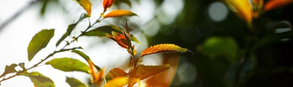 По-настоящему летняя жара пришла в Приморье