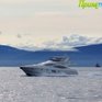 Экологическая ситуация в прибрежных водах залива Петра Великого оставляет желать лучшего