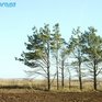 Декабрь продолжает удивлять Приморье незимним теплом