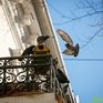 Владивосток ждёт тёплая и бесснежная неделя