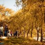 Чего ожидать от октября в Приморье?