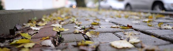 Во вторник в Приморье значительно похолодает