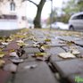 Во вторник в Приморье значительно похолодает