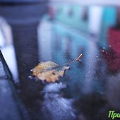 Во вторник в Приморье значительно похолодает