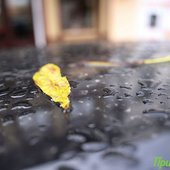 Во вторник в Приморье значительно похолодает