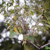 Во вторник в Приморье значительно похолодает
