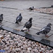Во вторник в Приморье значительно похолодает
