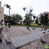 Во вторник в Приморье значительно похолодает