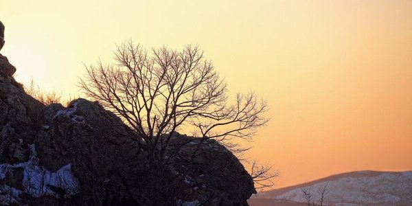 В ближайшие дни в Приморье будет морозно и ветрено