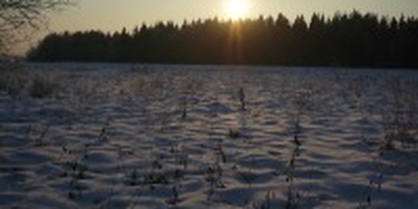 Приближаются самые короткие дни