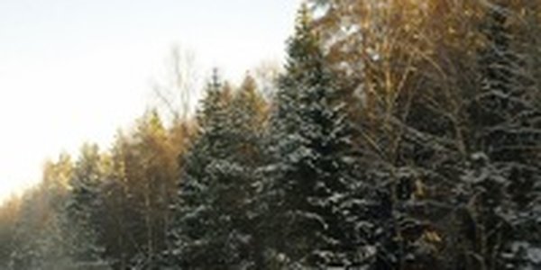 Суббота в Приморье оказалась теплее, чем воскресенье
