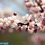 Майские праздники вместе с Примпогодой!