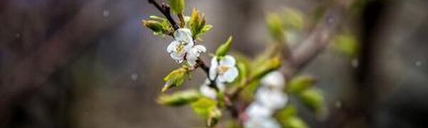 Ненастная погода ожидает жителей Приморья на праздничных выходных