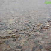 Улучшения погоды в Приморье пока не предвидится