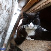 Улучшения погоды в Приморье пока не предвидится