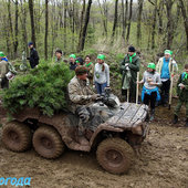 Кедры для леопарда