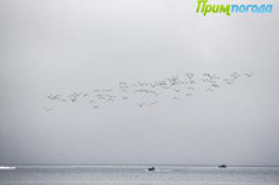 Во второй половине дня температура воздуха значительно понизится