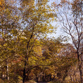 Осенние мотивы октября