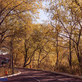 Осенние мотивы октября