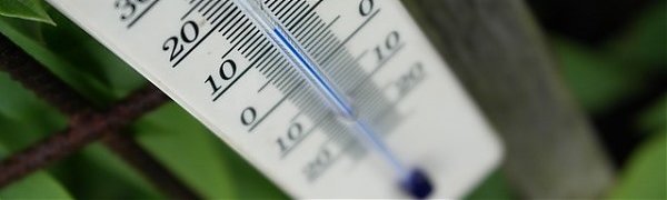 В России теплеет быстрее, чем в среднем на Земле