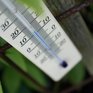 В России теплеет быстрее, чем в среднем на Земле
