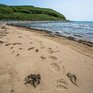 Неустойчивая погода ожидается в Приморье и Владивостоке на этой неделе