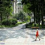 Жара до +30 °C ждет жителей Приморья в эти выходные