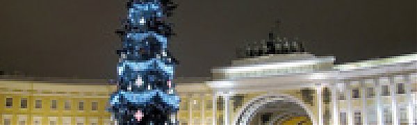 Петербуржцы голосуют за новогоднюю ель