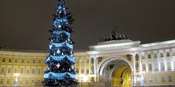 Петербуржцы голосуют за новогоднюю ель