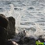 Морозы добрались до юга Приморья лишь в конце первой декады ноября