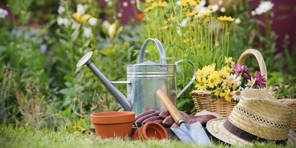 6 причин заняться садоводством