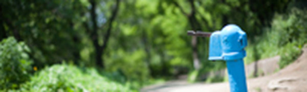 Во второй половине дня в Приморье местами прогремят грозы