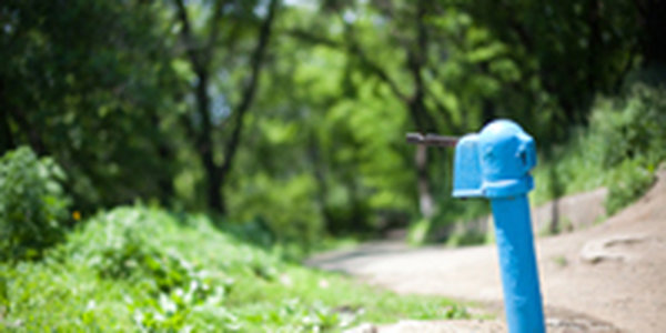 Во второй половине дня в Приморье местами прогремят грозы